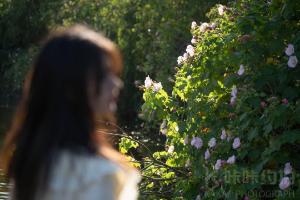 奶盐碎冰冰