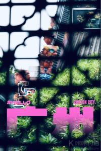 渝庆er