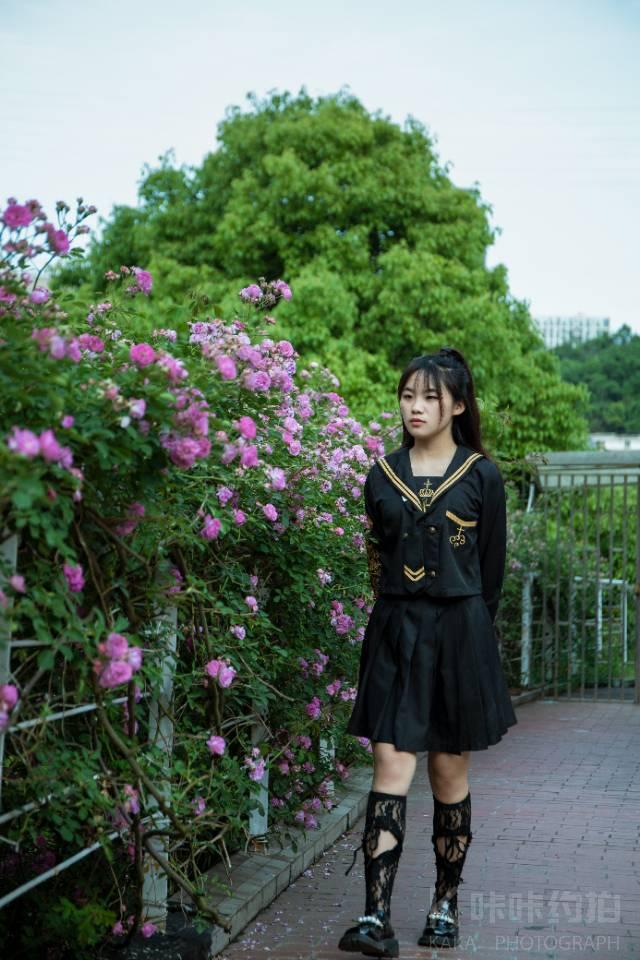 作品图 7