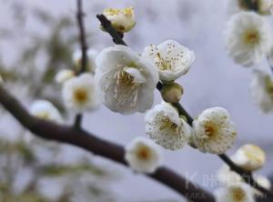 自由自在