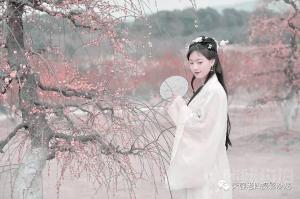 落花听雨