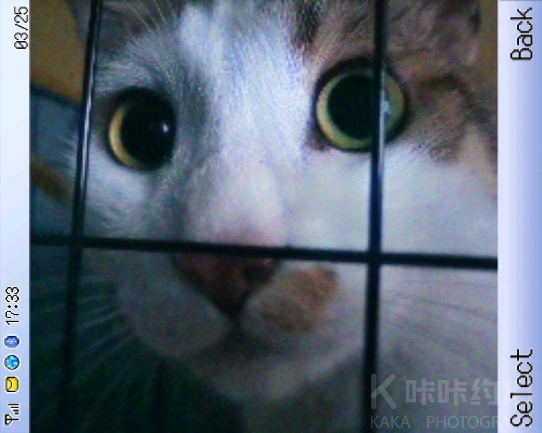 阿欧吼