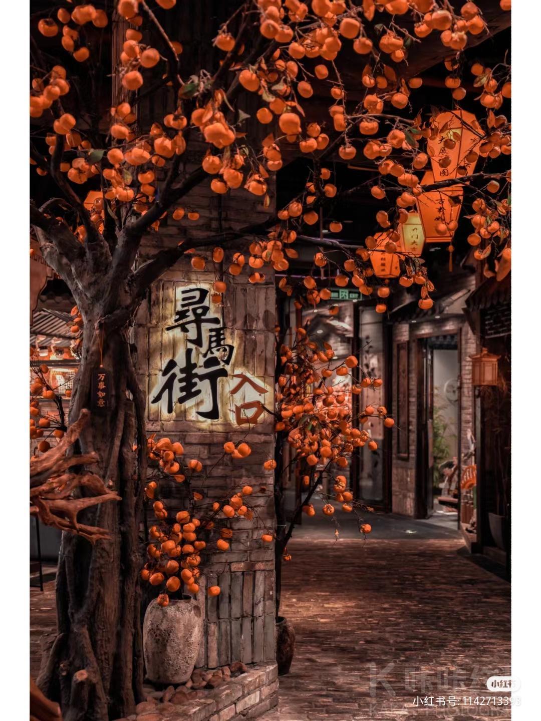 场地图 6