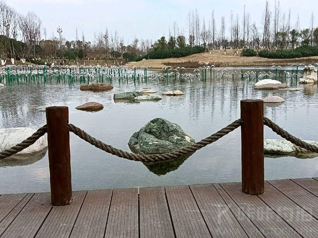 场地图 2