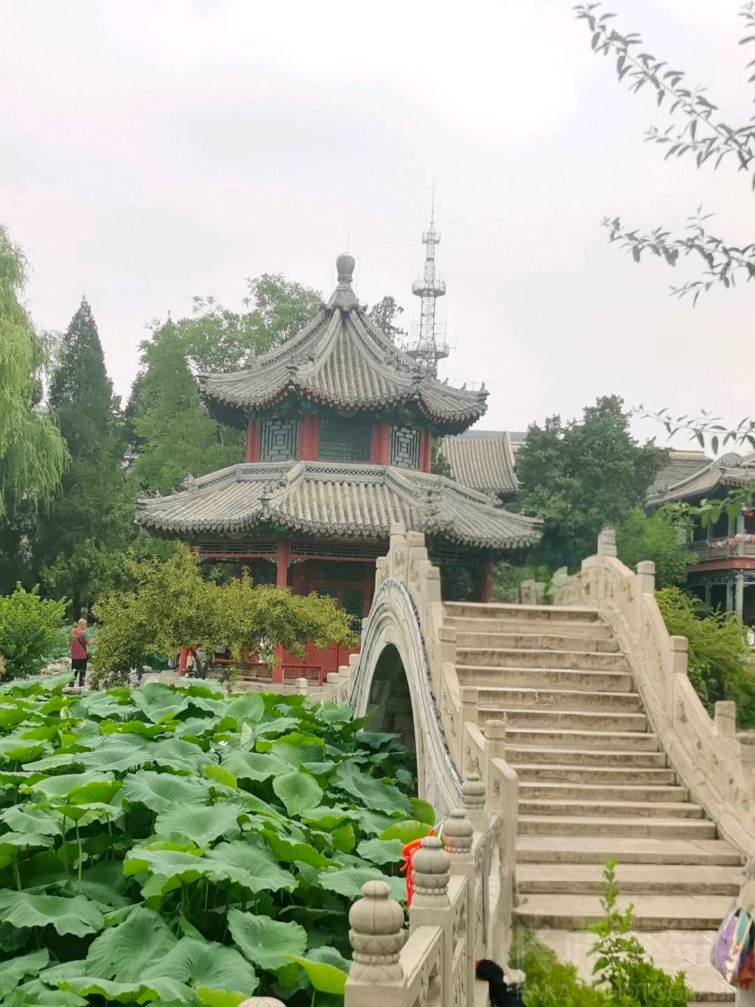作品图 7