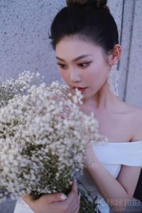 杨紫
