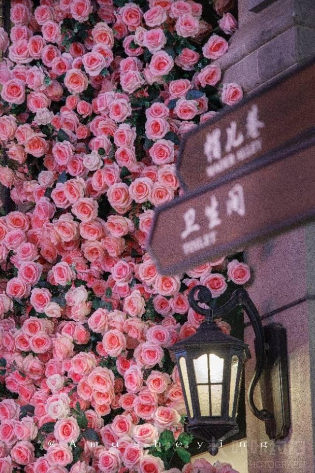 作品图 5