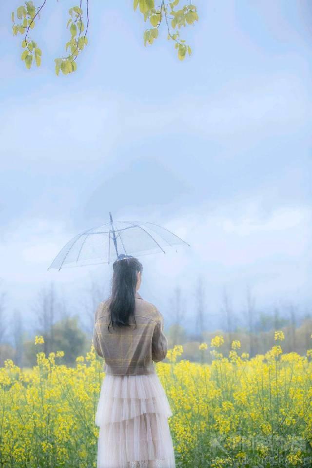 作品图 2