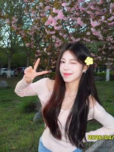 木同