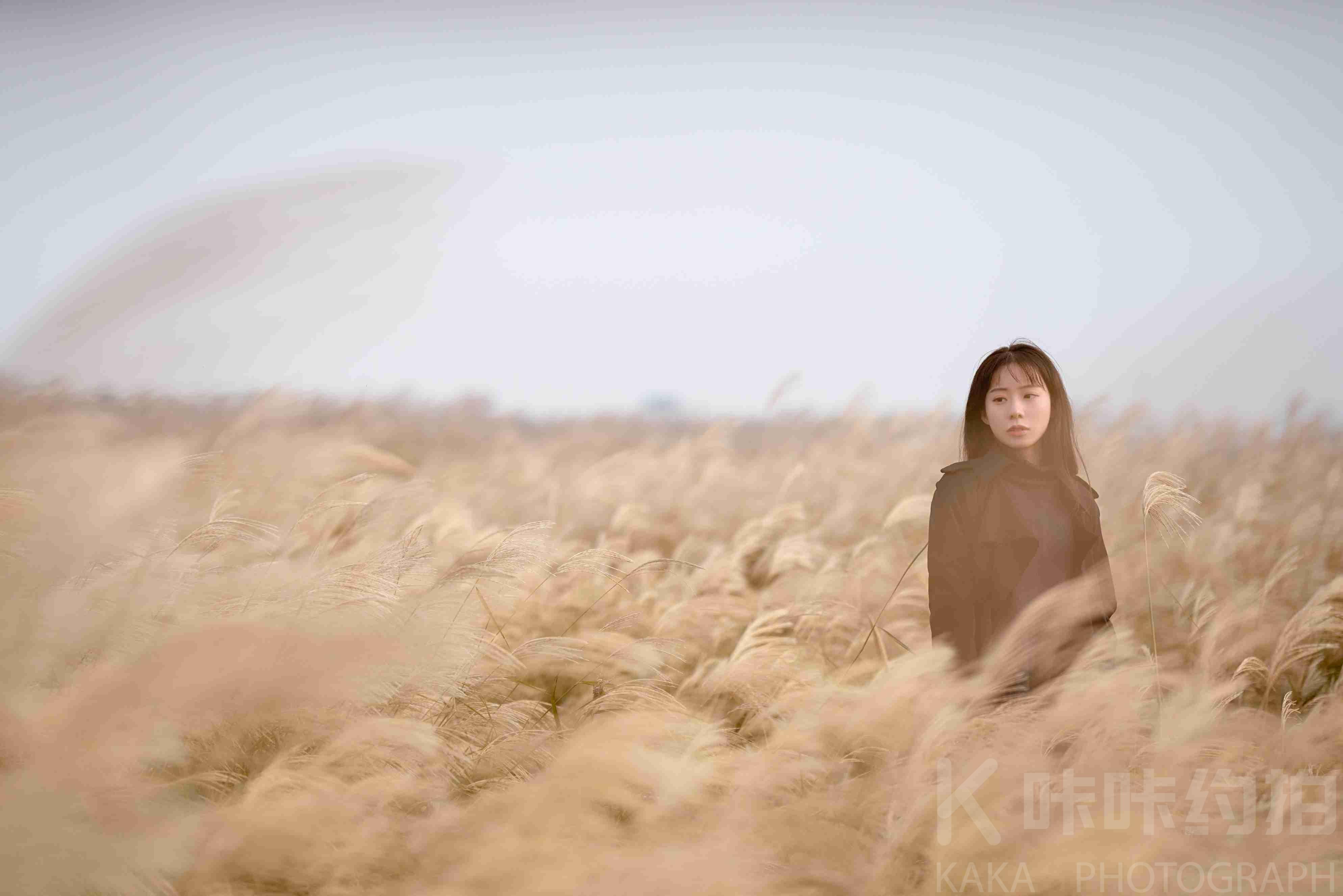 作品图 2