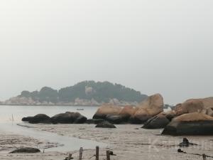 城枫
