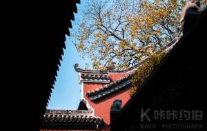 大偉