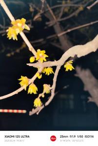 最新约拍