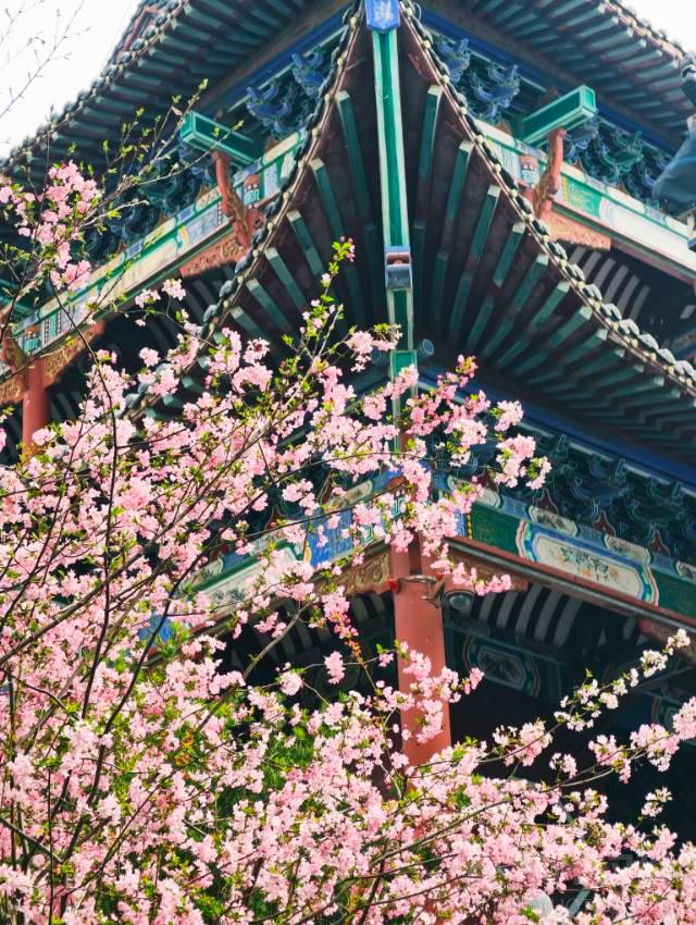 作品图 3