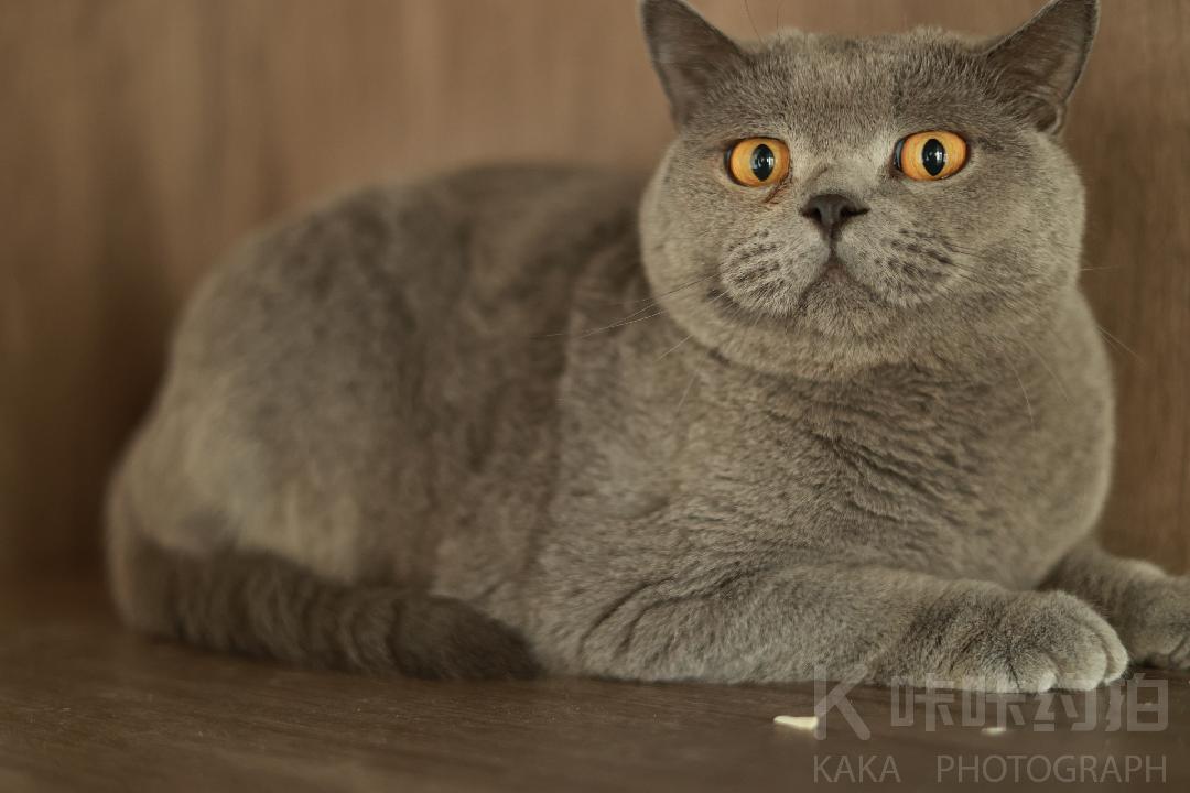无敌小颖颖