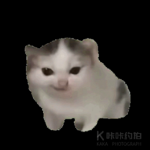 满山猴子