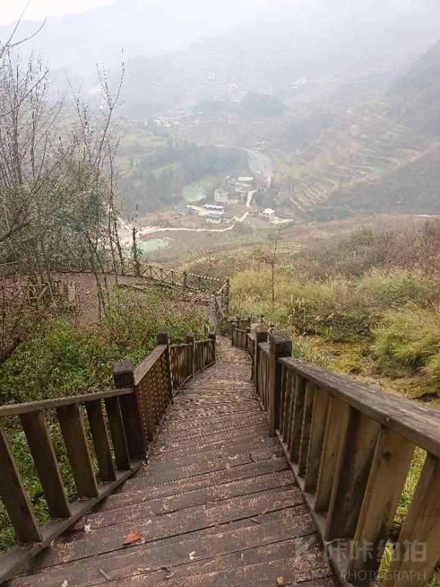 作品图 4