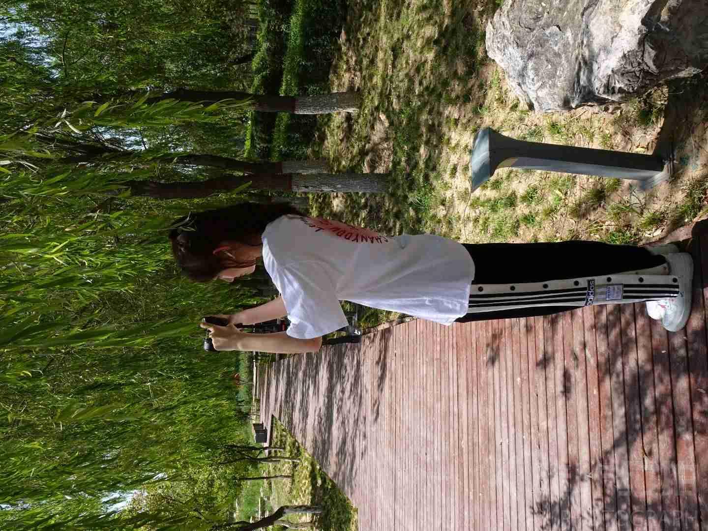 作品图 6