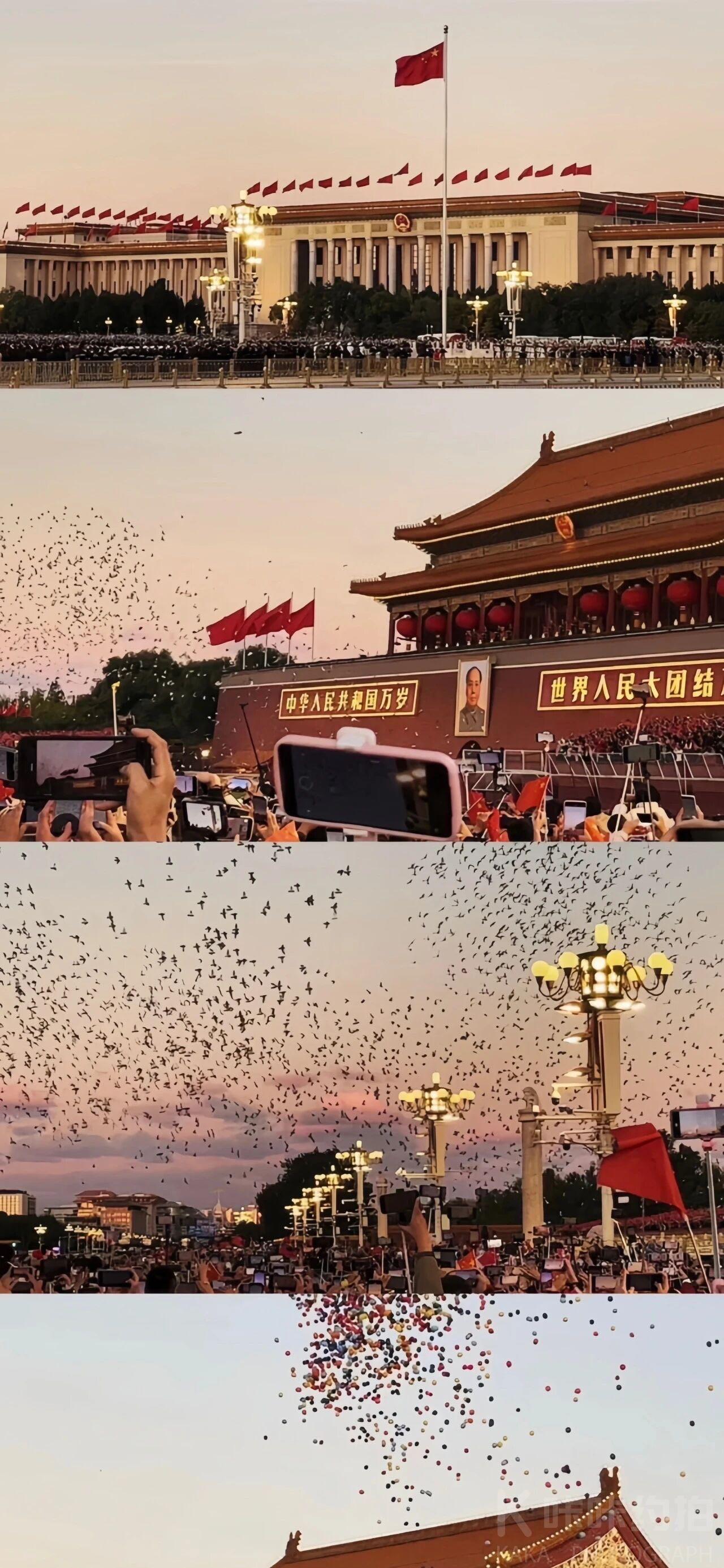 作品图 1