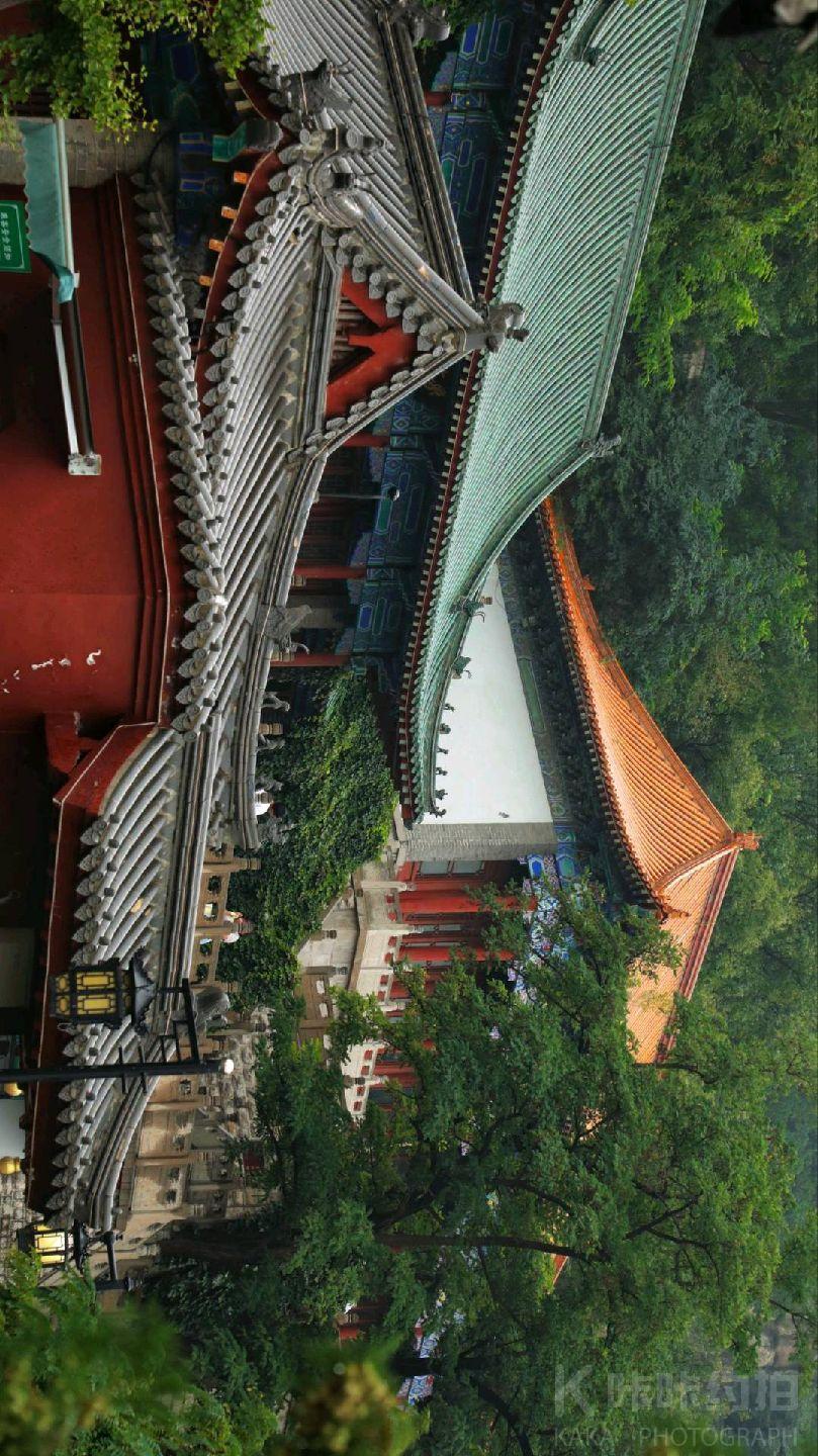 场地图 4