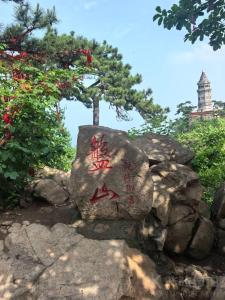 逆流而上