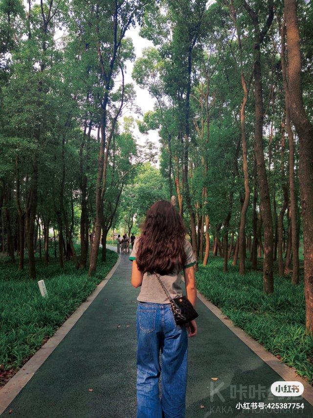 作品图 2