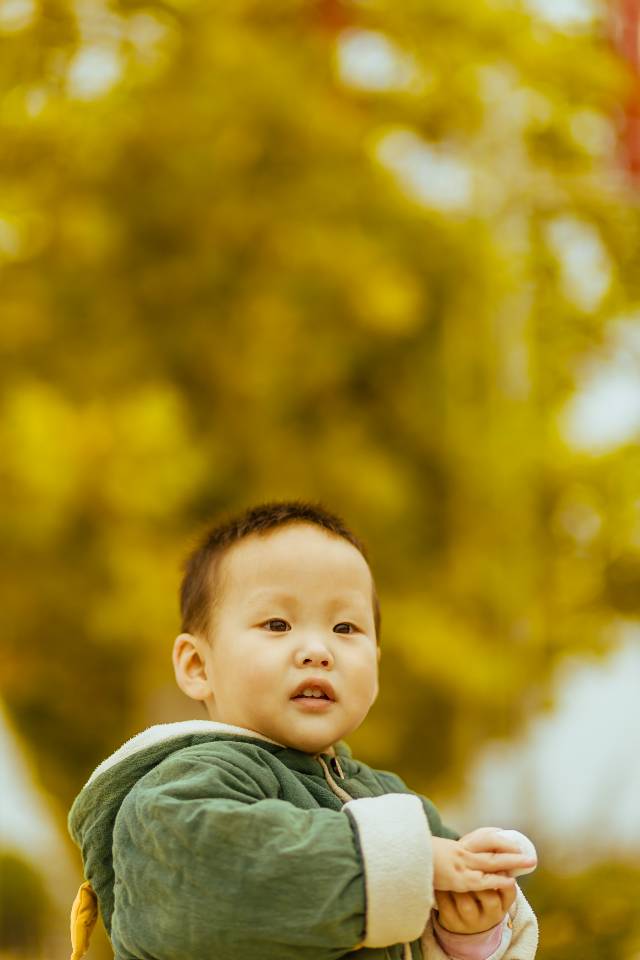 作品图 7