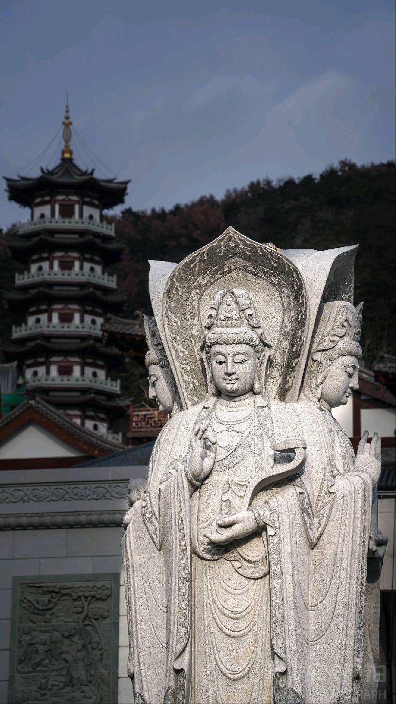 作品图 4