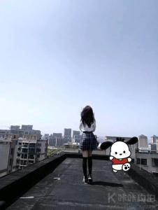 林落的猫