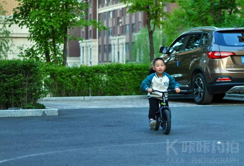 作品图 6