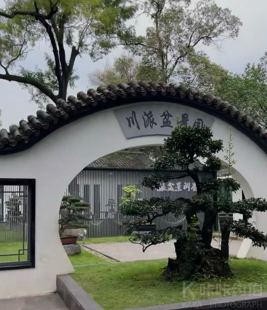 场地图 6