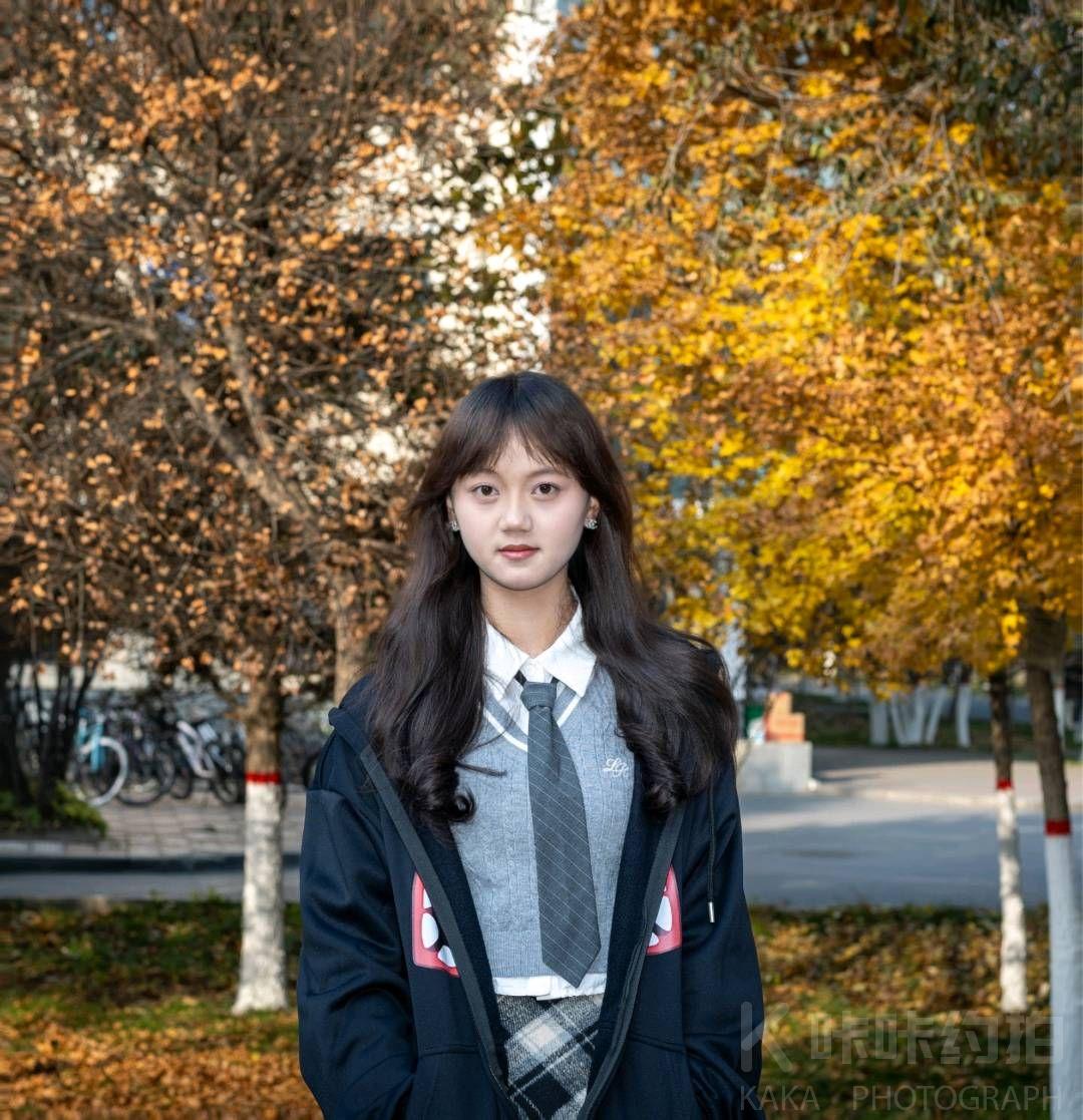 作品图 5
