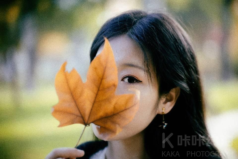 作品图 5