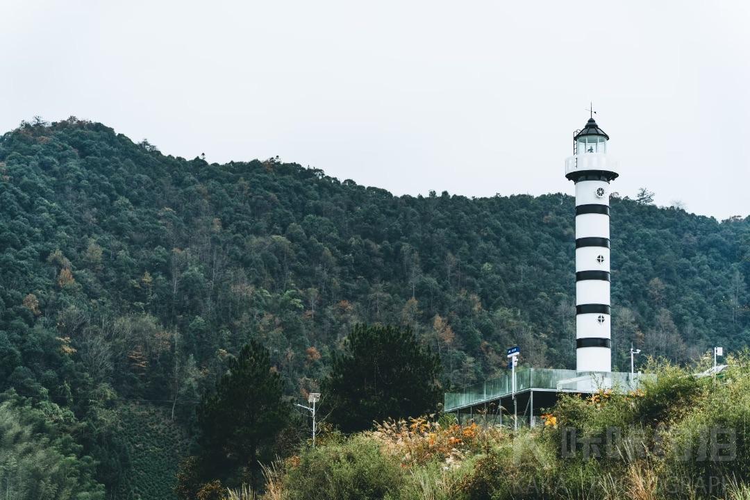 场地图 6