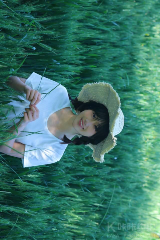 当归