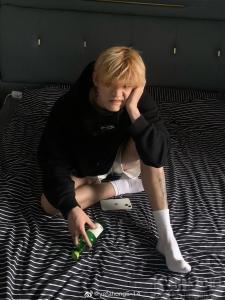 宏崽