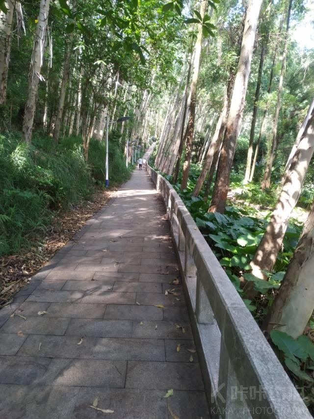 深圳欢乐谷