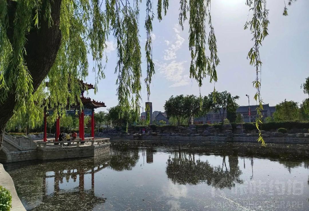 场地图 4