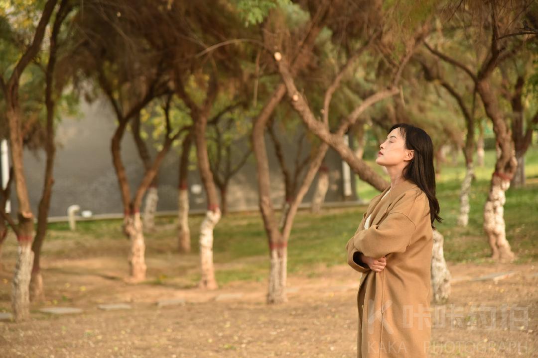 作品图 5