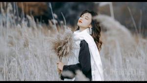肉球球