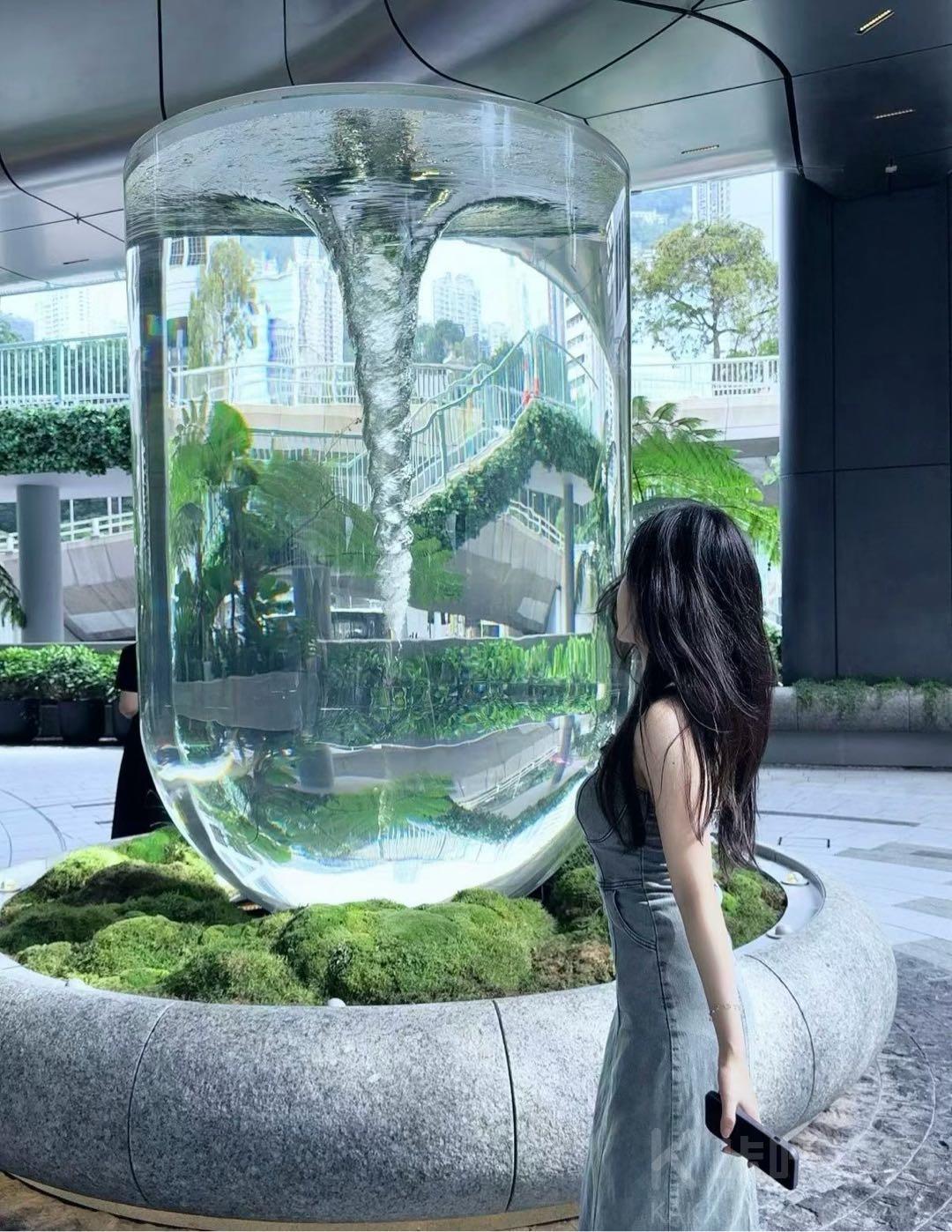 作品图 5