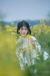 菲米
