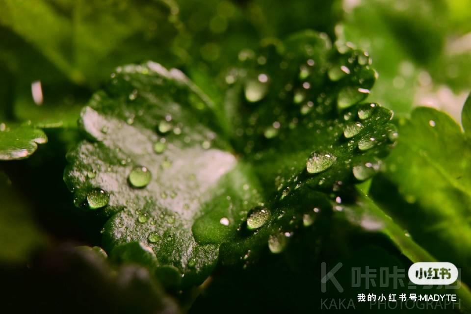 作品图 4