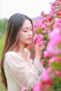 晓视界