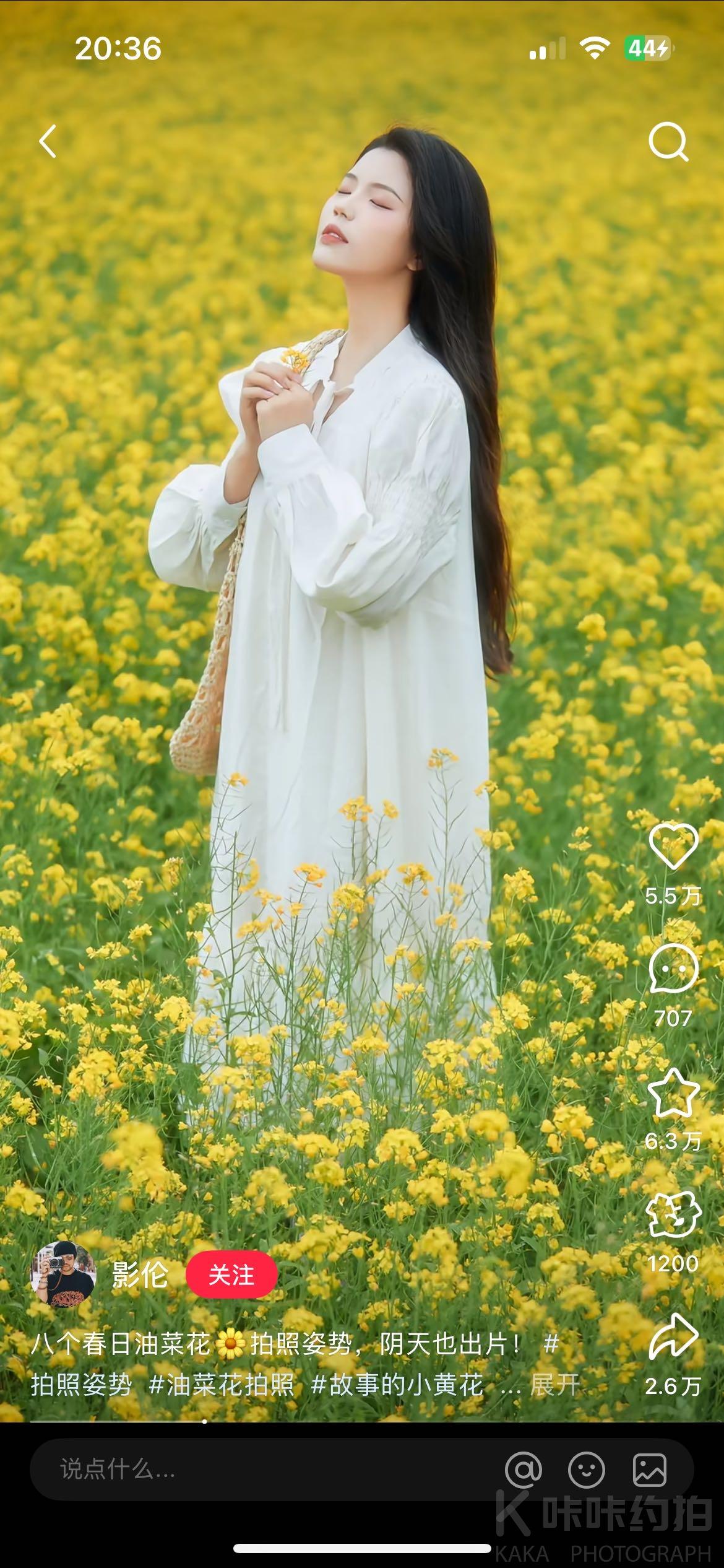 作品图 3