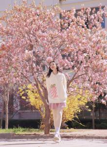 灵奕不灵异