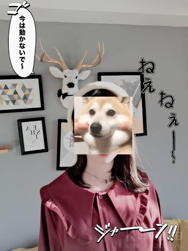 场地图 2
