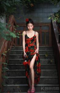 白天不与黑夜