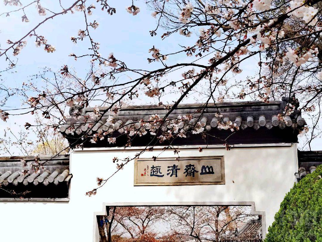作品图 4