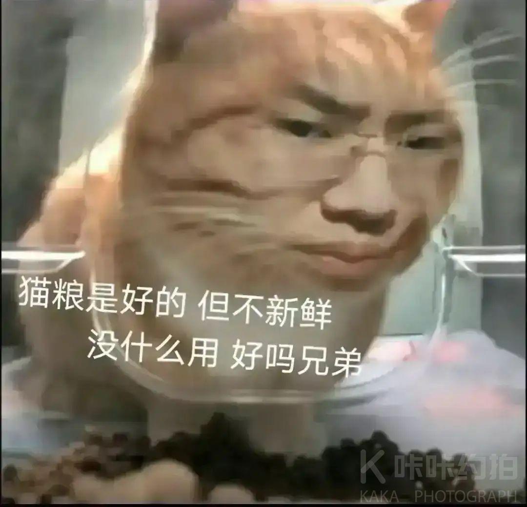 作品图 1